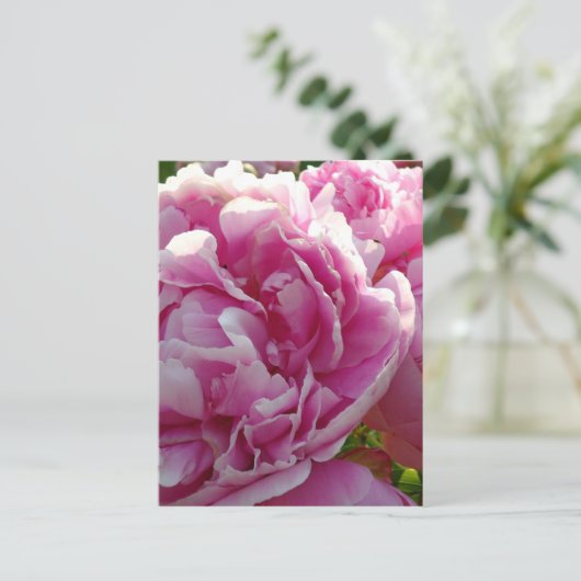 Pink Peony Foto Hütte Bauernhof Blumengarten Postkarte (Stehend Vorderseite)