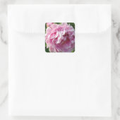 Pink Peony Foto Hütte Bauernhof Blumengarten Quadratischer Aufkleber (Tasche)