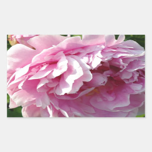Pink Peony Foto Hütte Bauernhof Blumengarten Rechteckiger Aufkleber