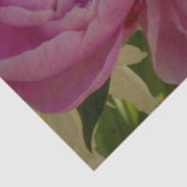 Pink Peony Foto Hütte Bauernhof Blumengarten Seidenpapier (Detail)