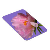 Pink Peony Foto Magnet (Rechte Seite)
