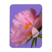 Pink Peony Foto Magnet (Vertikal)