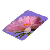 Pink Peony Foto Magnet (Linke Seite)