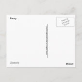 Pink Peony Fotograf Postkarte (Rückseite)