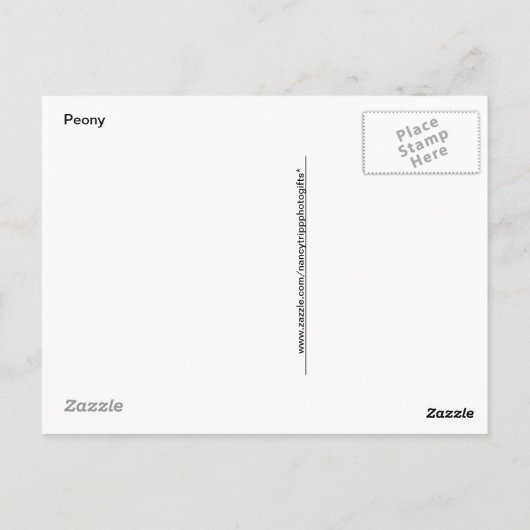 Pink Peony Fotograf Postkarte (Rückseite)