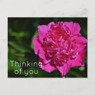 Pink Peony Garden Blume Denken Sie an Postkarte