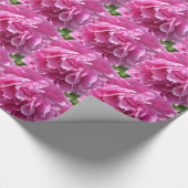 Pink Peony Geschenkpapier (Ecke)