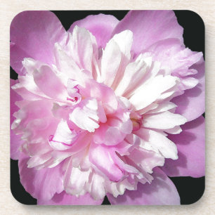 Pink Peony Getränkeuntersetzer
