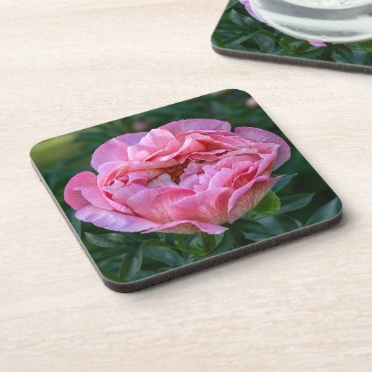 Pink Peony Getränkeuntersetzer (Linke Seite)