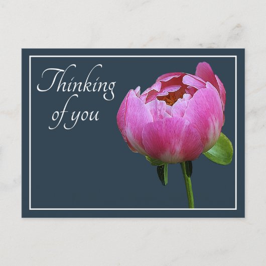 Pink Peony Grey Farbe Hintergrund Denken Sie an Si Postkarte (Vorderseite)