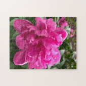 Pink Peony Jigsaw Puzzle (Horizontal)