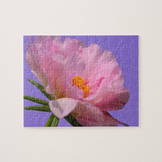 Pink Peony Jigsaw Puzzle (Horizontal)
