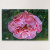 Pink Peony, kanadisches Blumenbild Puzzle (Horizontal)