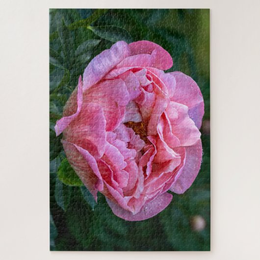 Pink Peony, kanadisches Blumenbild Puzzle (Vertikal)