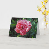 Pink Peony Karte (Gelbe Blume)