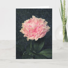 Pink Peony Karte