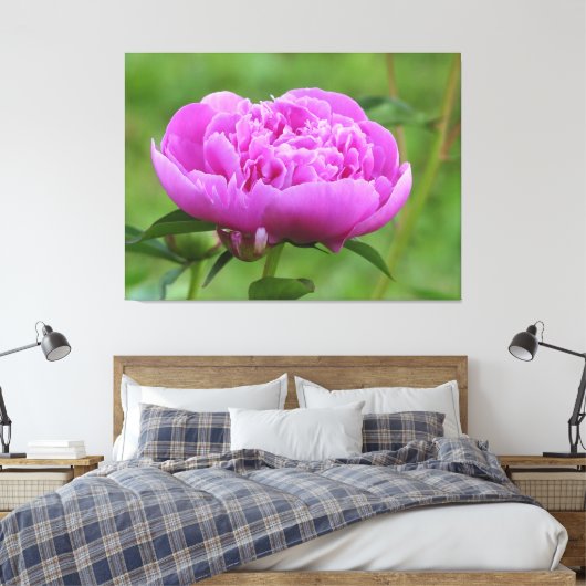 Pink Peony Leinwanddruck (Insitu (Schlafzimmer))
