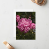 Pink Peony & Liebe-in-a-mist Mitteilungskarte (Vorderseite/Rückseite Beispiel)