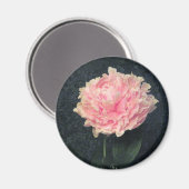 Pink Peony Magnet (Vorderseite/Rückseite)