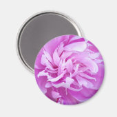 Pink Peony - Magnet (Vorderseite/Rückseite)