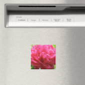 Pink Peony Magnet (In Situ (Geschirrspüler))