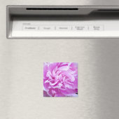 Pink Peony - Magnet (In Situ (Geschirrspüler))