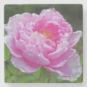 "PINK PEONY" MARBLE UNTERSETZER