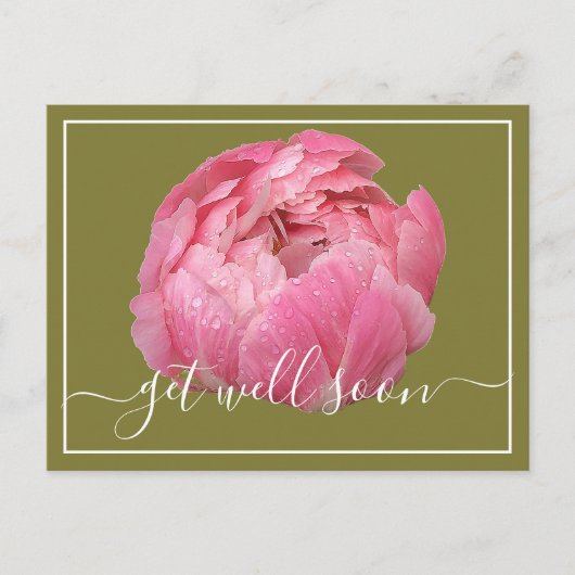 Pink Peony mit Taubentropfen Grün Hintergrund wird Postkarte (Vorderseite)