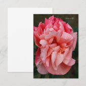 Pink Peony Mitteilungskarte (Vorne/Hinten)