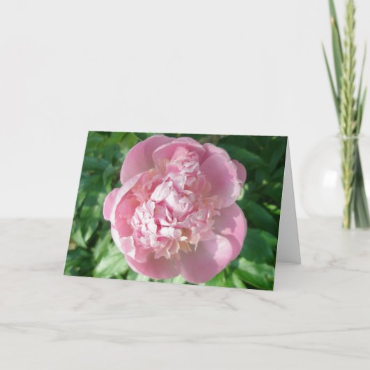 Pink Peony Note Card Feiertagskarte (Vorderseite)