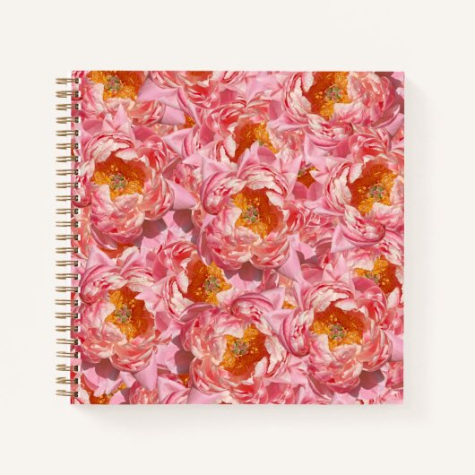 Pink Peony Notebook Notizblock (Vorderseite)