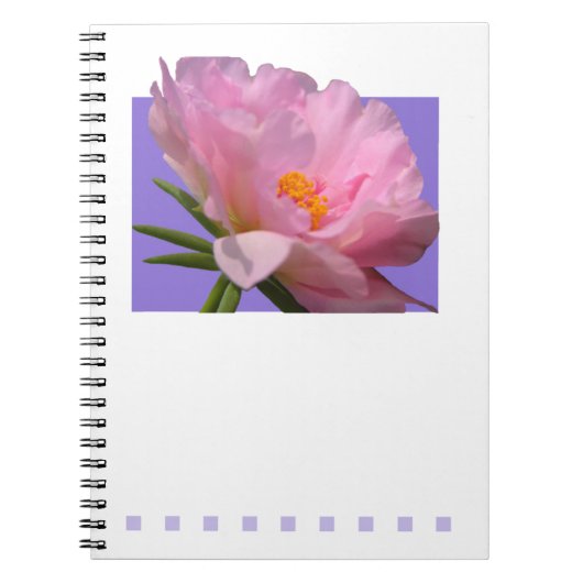 Pink Peony Notebook Notizblock (Vorderseite)