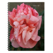 Pink Peony Notizblock (Vorderseite)