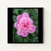Pink Peony Notizblock (Rückseite)