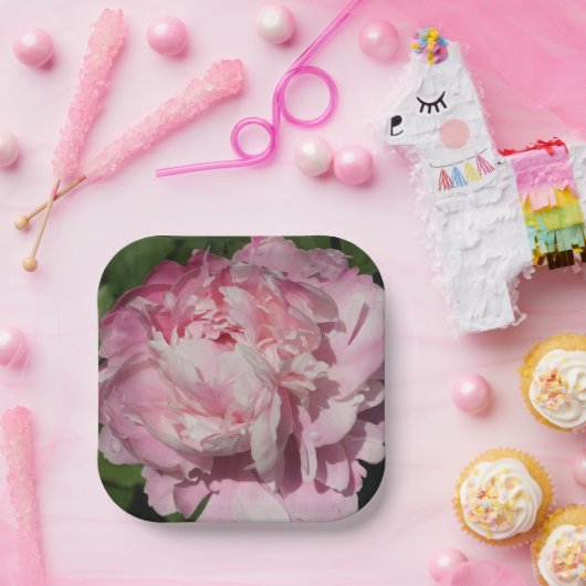 Pink Peony Pappteller (Party)