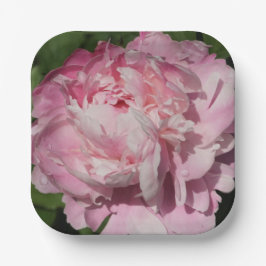 Pink Peony Pappteller