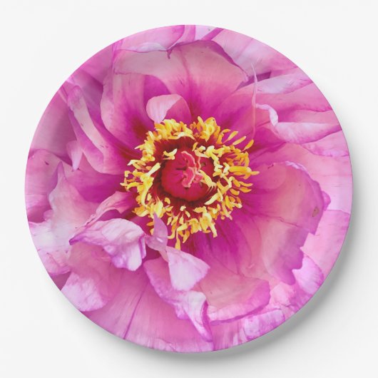 Pink Peony Plate, 9" Rundpapierplatte Pappteller (Vorderseite)