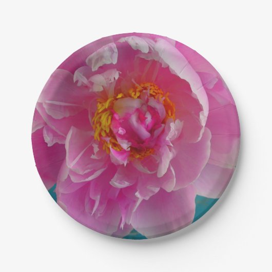 Pink Peony Plate Pappteller (Vorderseite)