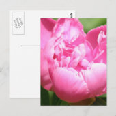 Pink Peony Postcard Postkarte (Vorne/Hinten)
