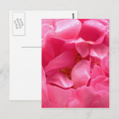 Pink Peony Postcard Postkarte (Vorne/Hinten)