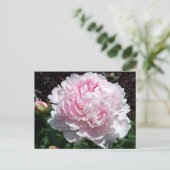 Pink Peony Postcard Postkarte (Stehend Vorderseite)