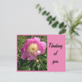 Pink Peony Postcard Postkarte (Stehend Vorderseite)