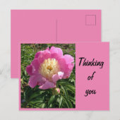 Pink Peony Postcard Postkarte (Vorne/Hinten)