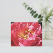 Pink Peony, Postcard Postkarte (Stehend Vorderseite)
