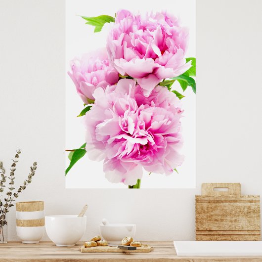 Pink Peony Poster (Küche)