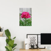 Pink Peony Poster (Heimbüro)