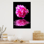 Pink Peony Poster (Küche)