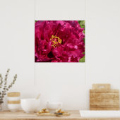 Pink Peony Poster Print (Küche)