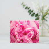Pink Peony Postkarte (Stehend Vorderseite)