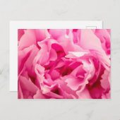 Pink Peony Postkarte (Vorne/Hinten)